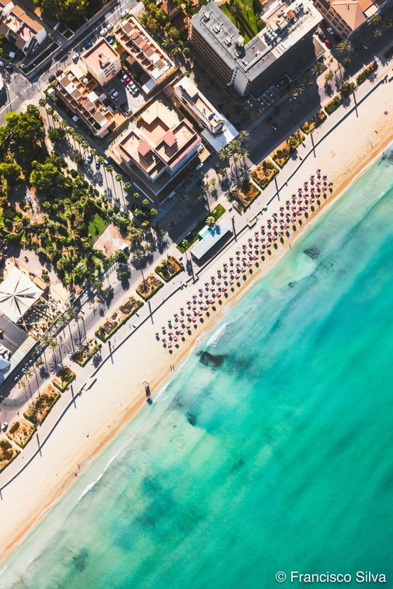 Image 1 of Pilari #6