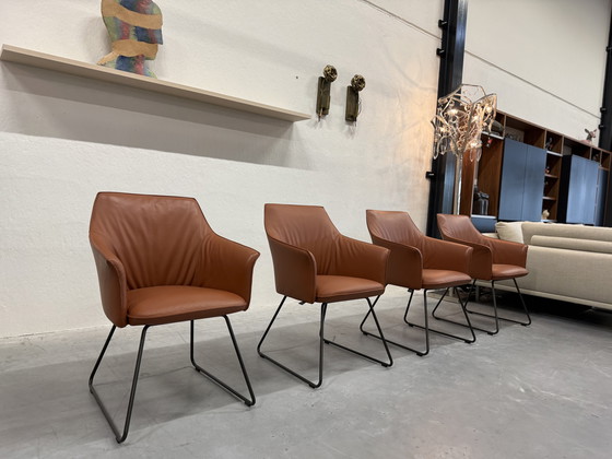 Image 1 of 4 Leolux Mara Dining Chairs Wapiti Hawk leather