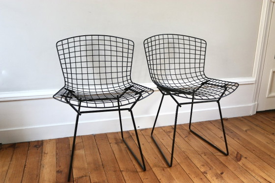 Pair of vintage Wire Bertoia chairs – Knoll, Dining chairs, Metal (photo 2 of 8)