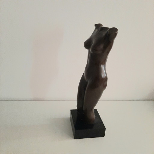 Nackte Frau Torso