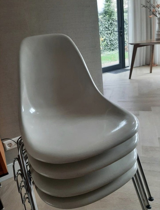 Image 1 of Sedie in fibra di vetro Original Eames