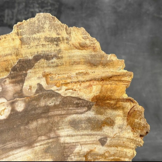 Image 1 of Madera fosilizada de Sooka, estándar a medida (nuevo)