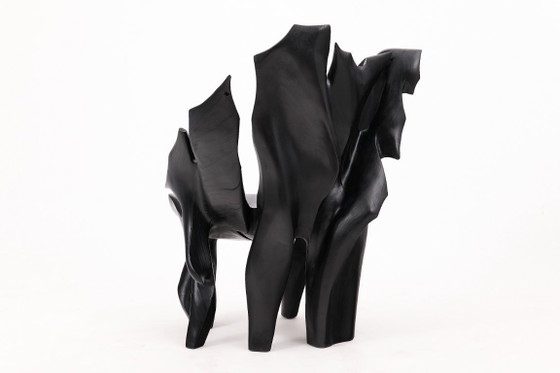 Image 1 of Fauteuil sculptural en bois noir carbonisé aux formes organiques par Logniture