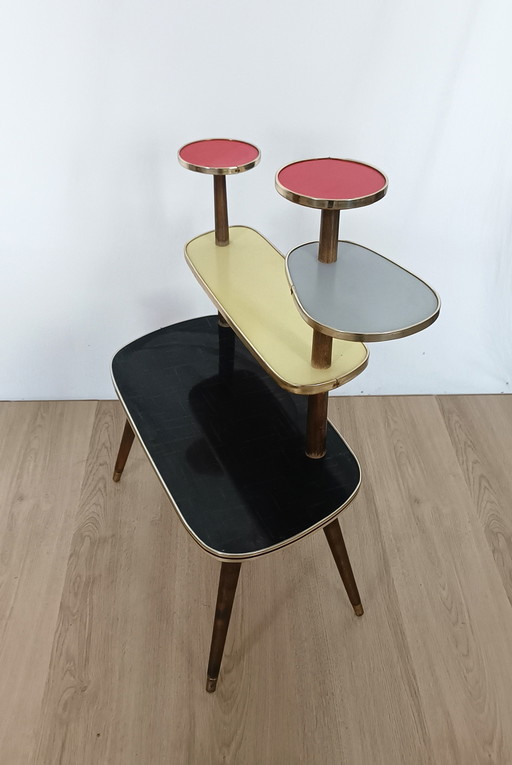 Multicolored Fifties Plant Table