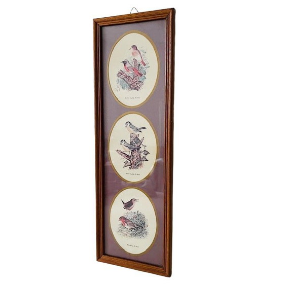 Image 1 of Vintage ingelijste prent met drie vogel tafereeltjes schilderij