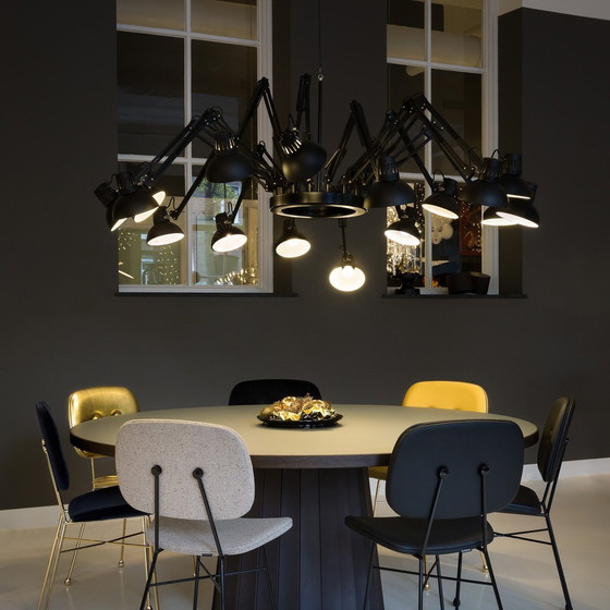 Image 1 of Dear Ingo Moooi, original! New condition.