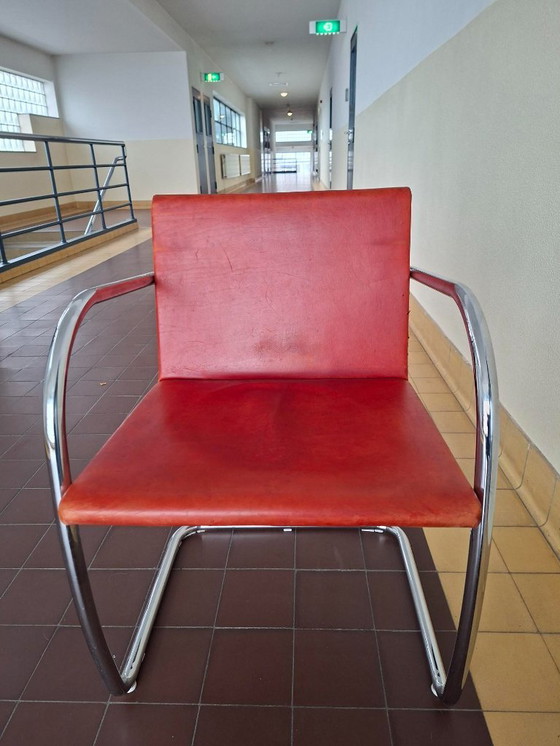 Image 1 of tubular frame armchair Brno design Mies van der Rohe