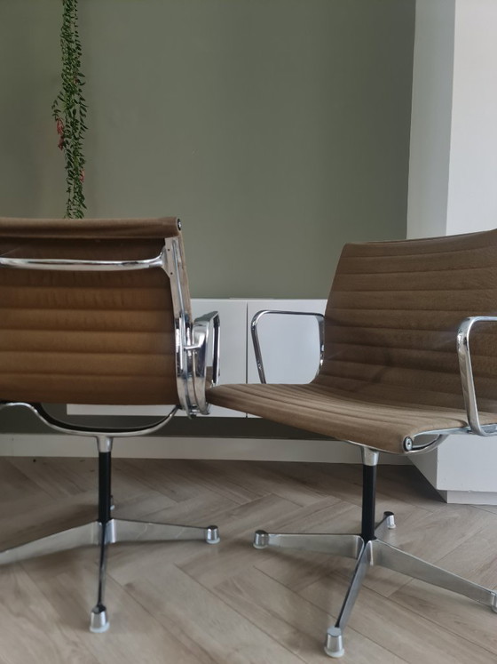 6 Originali Eames EA108 | Herman Miller – Sedie da pranzo, Aluminium (photo 5 of 8)