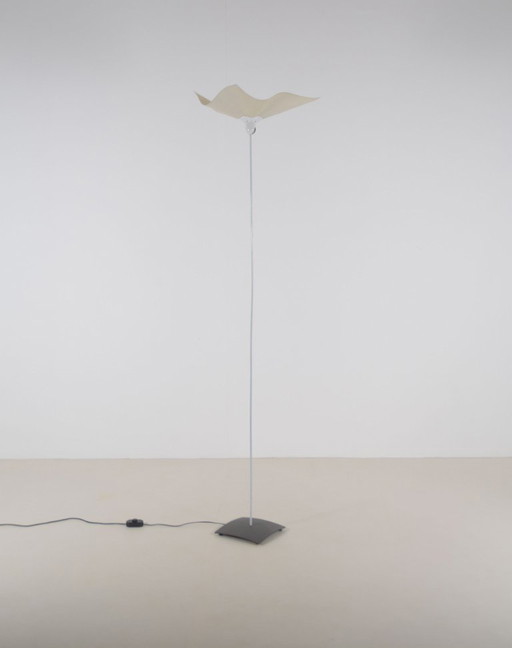 Area 210 Vloerlamp Ontworpen Door Mario Bellini Voor Artemide, Jaren '70 – vloerlampen, Plastic, Metal (photo 2 of 11)