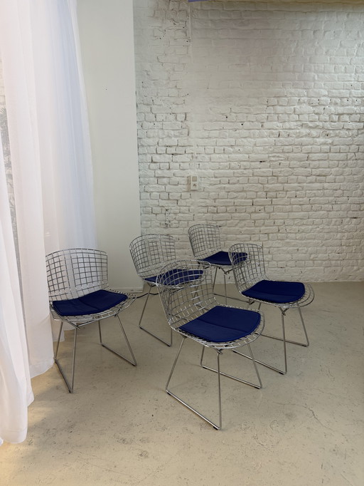 5 chaises Bertoia knoll