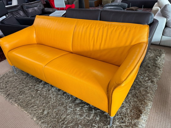Leolux Mayon 3-Sitzer Sofa – 3-5 Sitzer Sofas, Leder (photo 5 of 10)