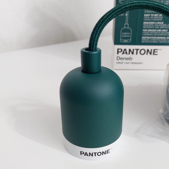 Pantone verde - 2 nuevas Lámparas colgantes - DENEB Cap-hanger, rvs, Textil (foto 5 de 5)