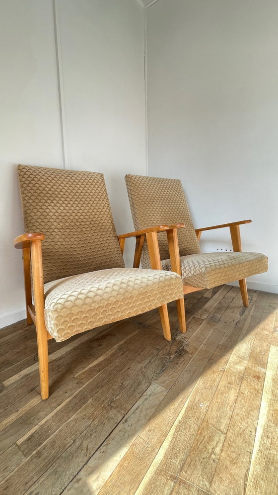 Image 1 of Vintage Armchairs by MANUCERE France