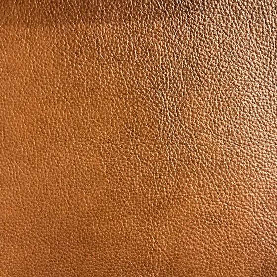 Image 1 of Topform Celio dining chair (set of 4)