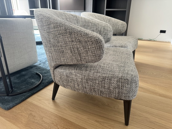 Image 1 of Fauteuils Minotti Aston, lot de 2, comme neufs