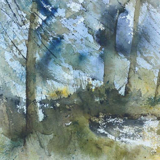 Light  in the wood 