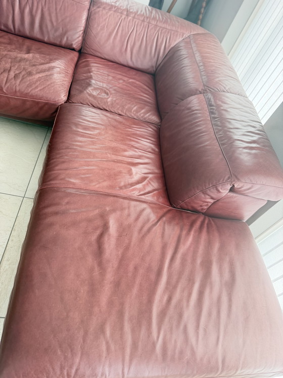 Divano Natuzzi – Divani angolari, Leather, Metal (photo 5 of 7)