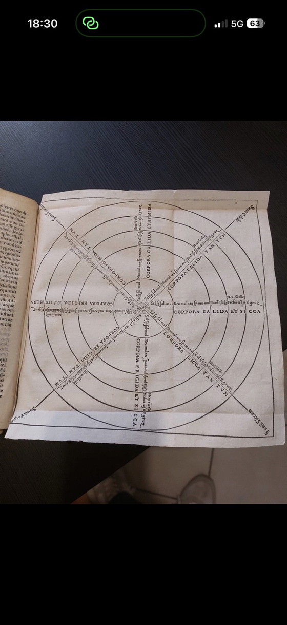 Oddo degli Oddi, Raro libro di medicina del 1574, Stampe artistiche, Carta, Bianco (foto 9 di 11)