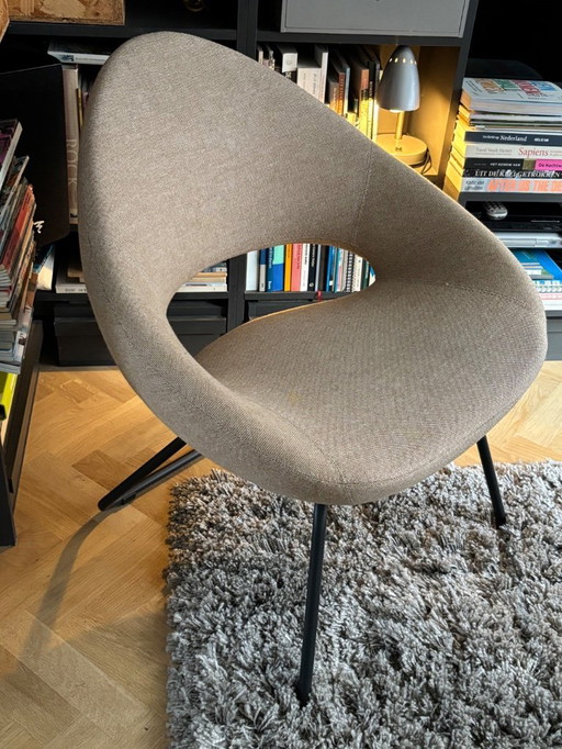 Salón Tiburón Artifort 1x