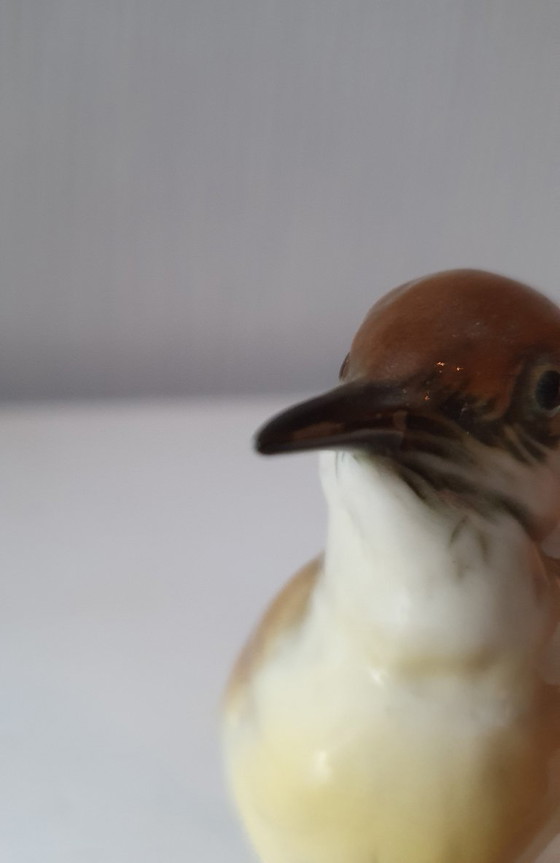 Image 1 of Karl Ens Porcelain - Nightingale - Perfect Condition