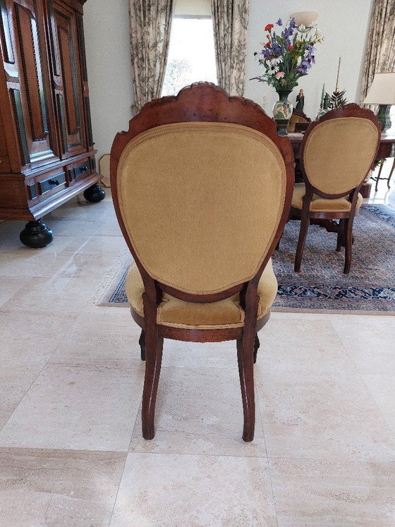 Antique Biedermeier Dining Chairs – Biedermeijer, Velvet, Wood (photo 4 of 5)