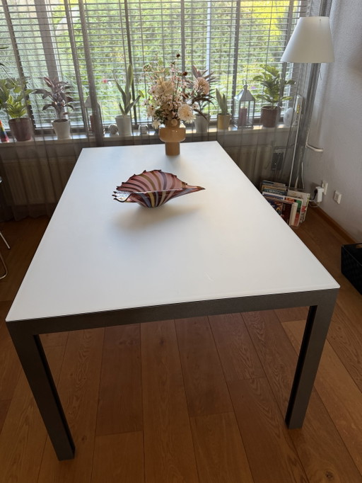 Leolux Cameleon Dining table 180x100cm