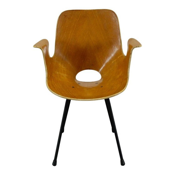 Image 1 of sedia con braccioli in legno curvato di faggio "medea" di vittorio nobili per fratelli tagliabue, italia, 1956