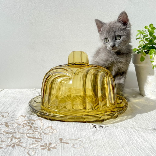 Cúpula de queso vintage de cristal ámbar – Hecho en Francia – Tabla de quesos retro