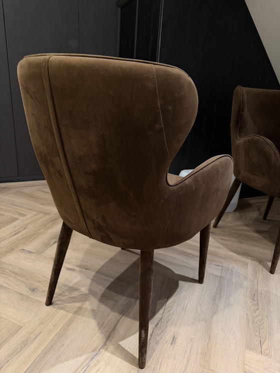 Set of 2 Brown Dining chairs – Velour – Velvet (photo 5 of 6)