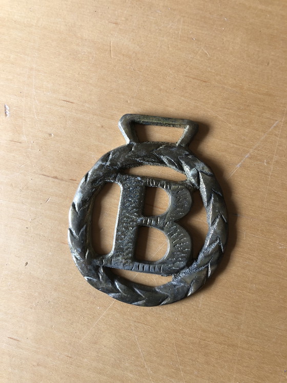 Image 1 of Paarden brasses