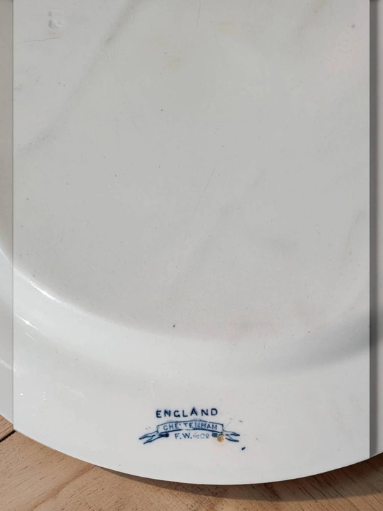 Plato redondo semihondo de loza inglesa "Cheltenham" — F. Winkle & Co. – Porcelain, Art Nouveau (photo 5 of 6)
