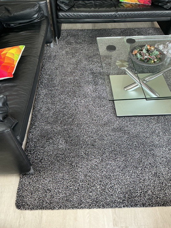 Image 1 of Millenerpoort-Teppich 170 x 240 cm