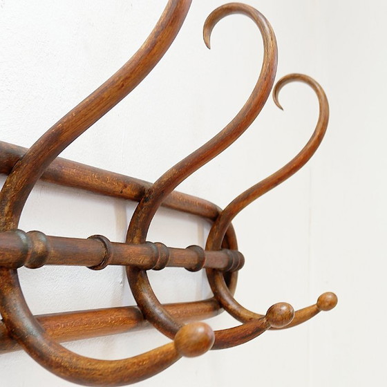 Image 1 of Wandkapstok van gebogen hout in Thonet-stijl – begin 20e eeuw