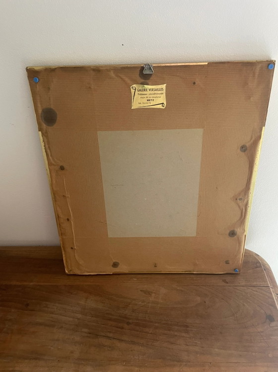 Brasilianische Vogellithographie – Lithographien & Drucke, Wood (photo 3 of 5)