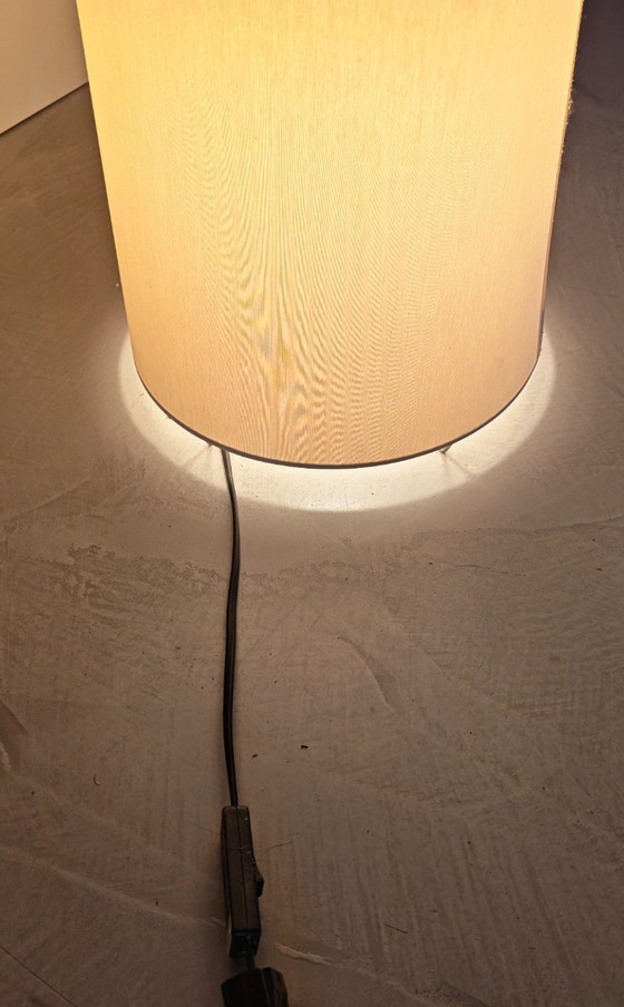 Marcel Wanders / Big Shadow - Cappellini – Stehleuchten, Stoff (photo 3 of 6)
