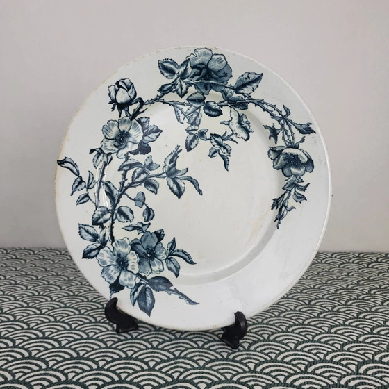 Piatto in maiolica Creil & Montereau, modello Rosa, XIX secolo – Stoviglie, Porcelain (photo 2 of 7)