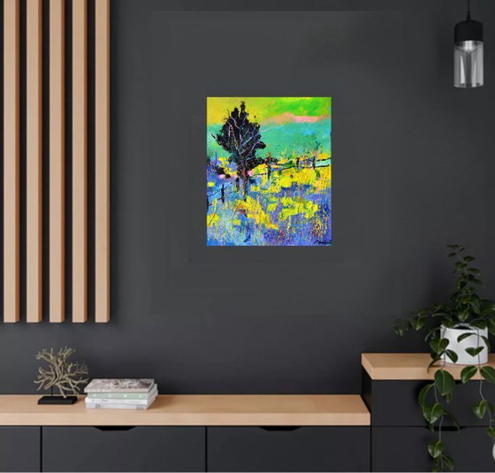 Image 1 of Een boom in de zomer