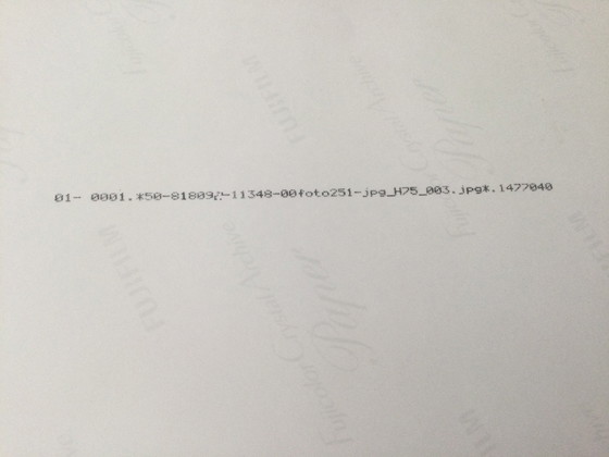 Image 1 of Nat Finkelstein photo Warhol, Dylan