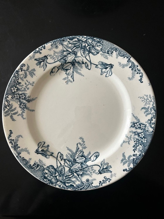 Image 1 of 13 Louis Graves Terre de Fer dinner plates
