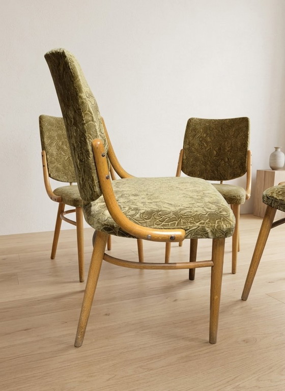 Image 1 of Bentwood Dining Chairs set of 4, Retro Beech Wood & Olive Velour Chair, TON 1960s–1970s, Czechoslovakia