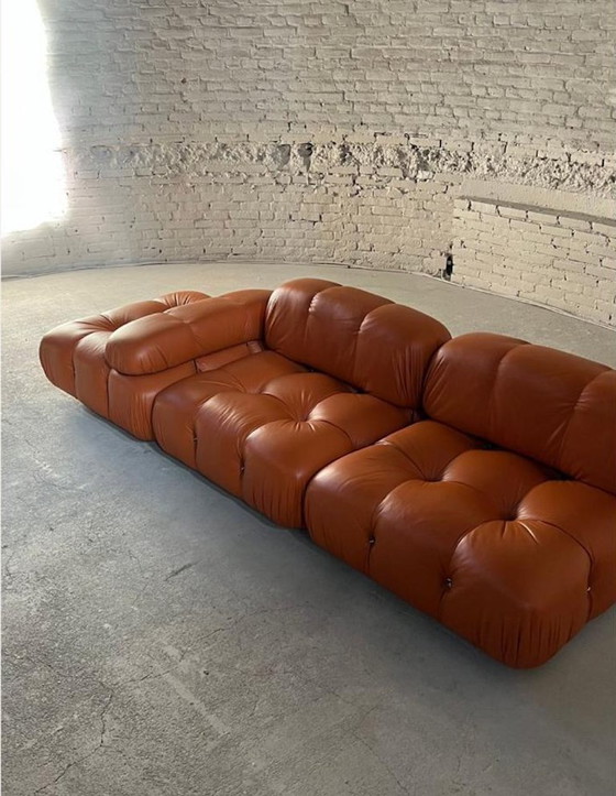 Image 1 of Camaleonda sofa van B&B Italia