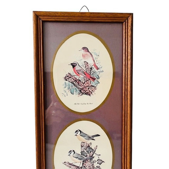 Image 1 of Vintage ingelijste prent met drie vogel tafereeltjes schilderij