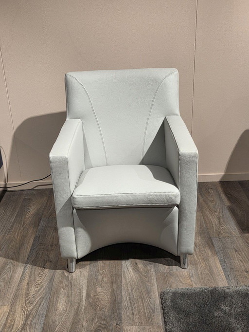 LeoluxEvidence Dolcinea