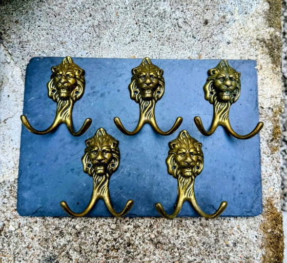5 lion coat hooks in solid brass Art Nouveau – Coat racks, Art Deco (photo 6 of 6)