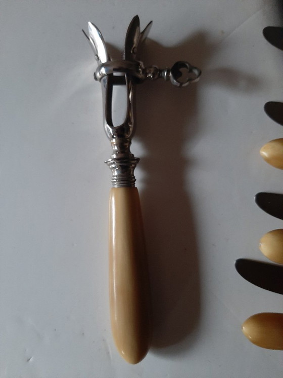 Image 1 of Juego de cuchillos antiguos de cuerno