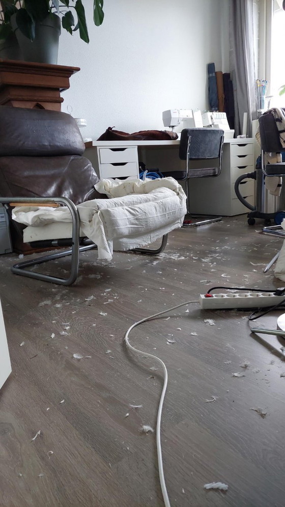 Image 1 of Gelderland Oberman armchair 601 - Jan des Bouvrie