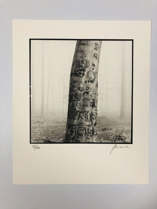 Ralph Janowski - Photo print