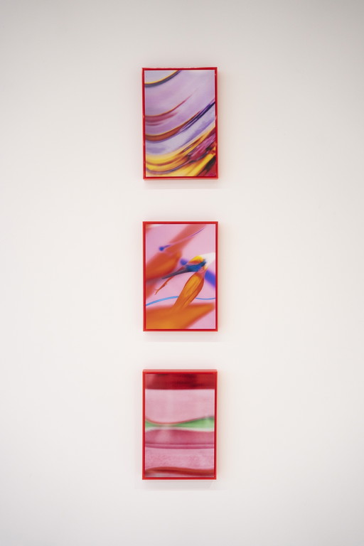 Lilxlylilxly - Fotografische kunst in plexiglas lijst serie titel: RED