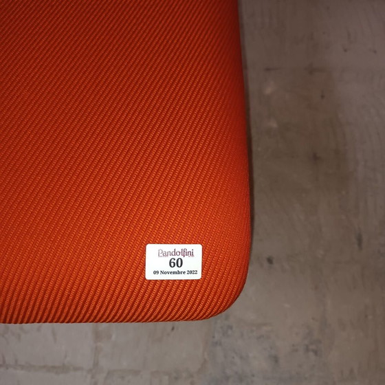 Image 1 of Lot van 4 Vintage Leren Stoelen door Poltronova, Harlow Variant 1971