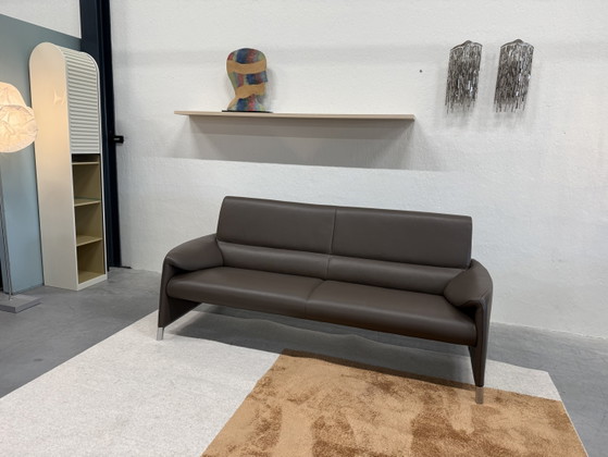 Leolux Felizia Canapé 3 places Senso Noyer – Canapés 3 places, Leather (photo 7 of 8)
